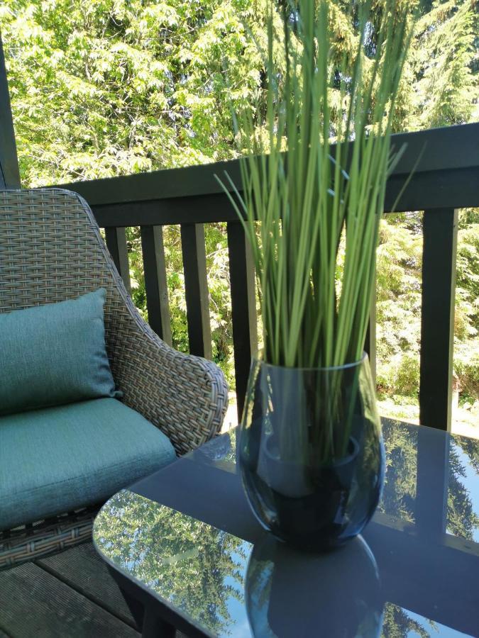 Country-Suites By Verdino Living - Apartments & Suites (Adults Only) Braunlage Exterior foto